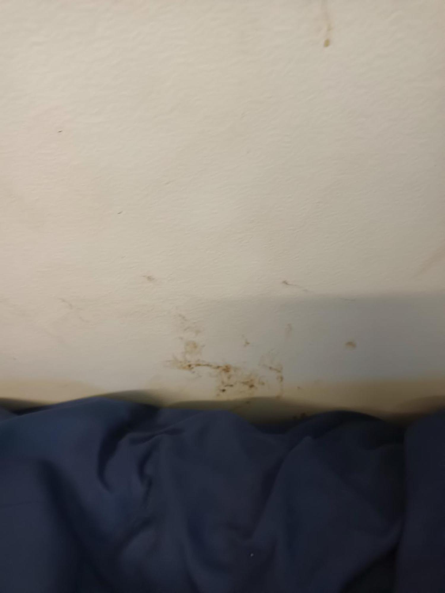 Single Room In Wollongong Near Uni Keiraville Habitación foto