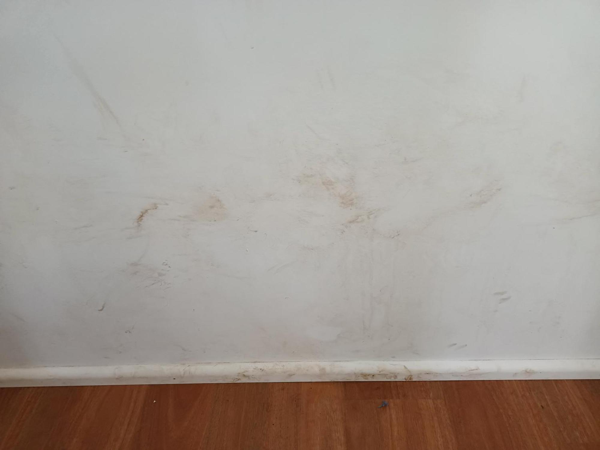 Single Room In Wollongong Near Uni Keiraville Habitación foto